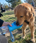 FurFree™ PawSip 2-in-1 Portable Dog Water Bottle