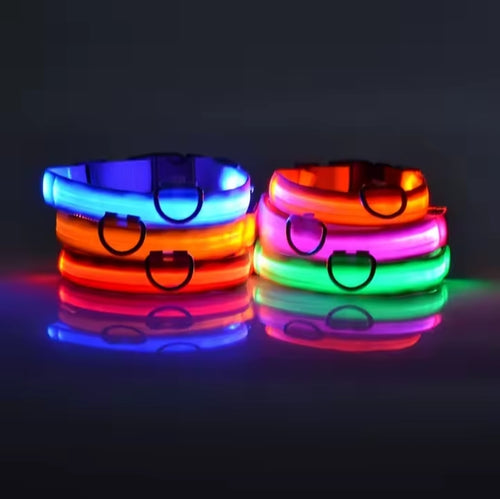 FurFreeHouse™ Glow LED Safety Collar