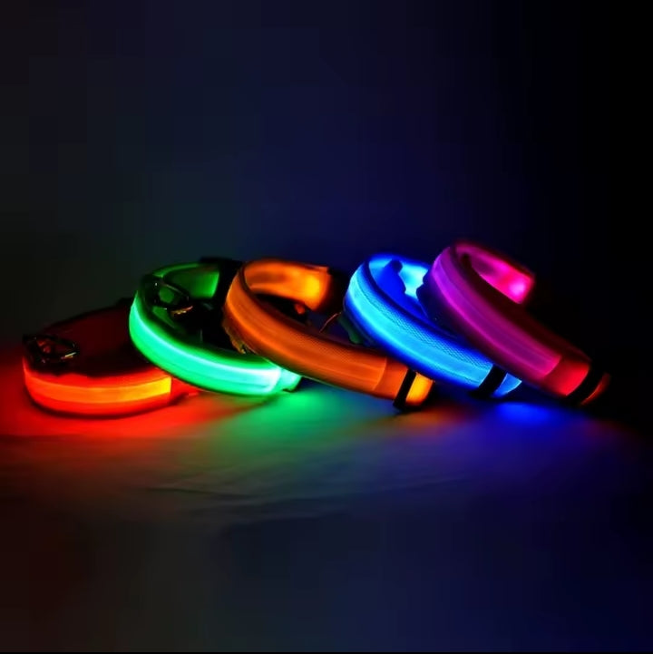 FurFreeHouse™ Glow LED Safety Collar
