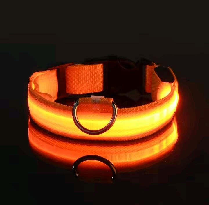 FurFreeHouse™ Glow LED Safety Collar
