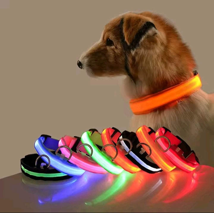 FurFreeHouse™ Glow LED Safety Collar