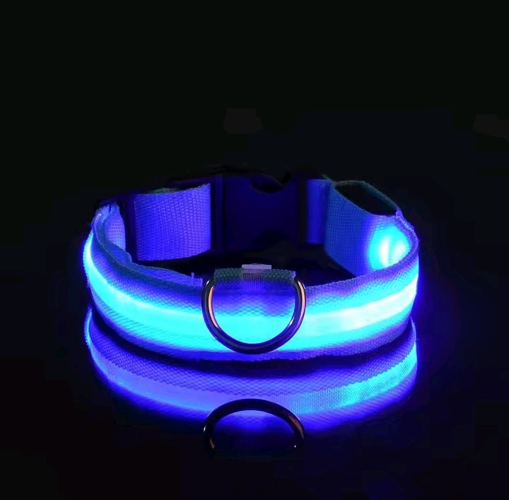 FurFreeHouse™ Glow LED Safety Collar