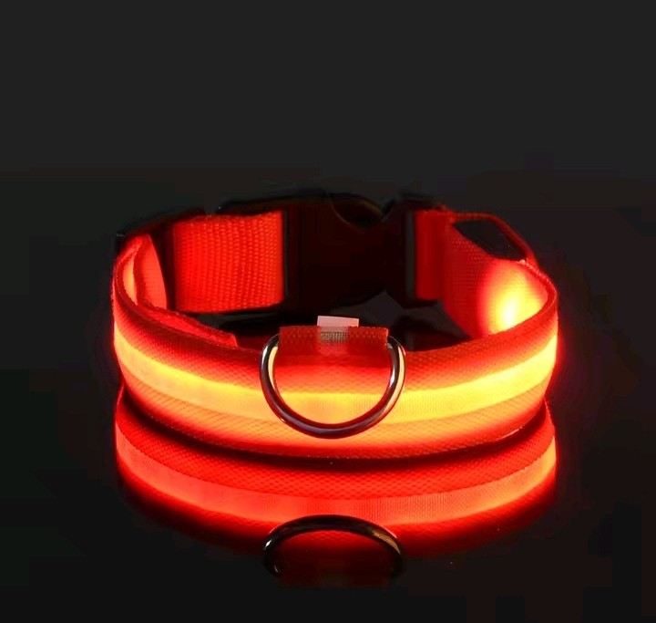 FurFreeHouse™ Glow LED Safety Collar