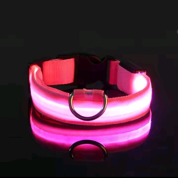 FurFreeHouse™ Glow LED Safety Collar