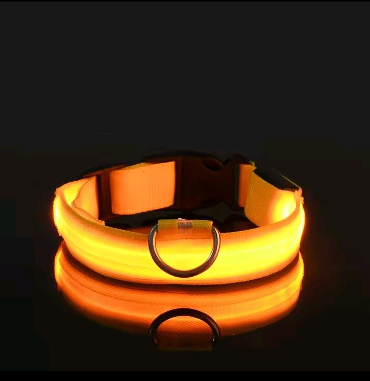 FurFreeHouse™ Glow LED Safety Collar