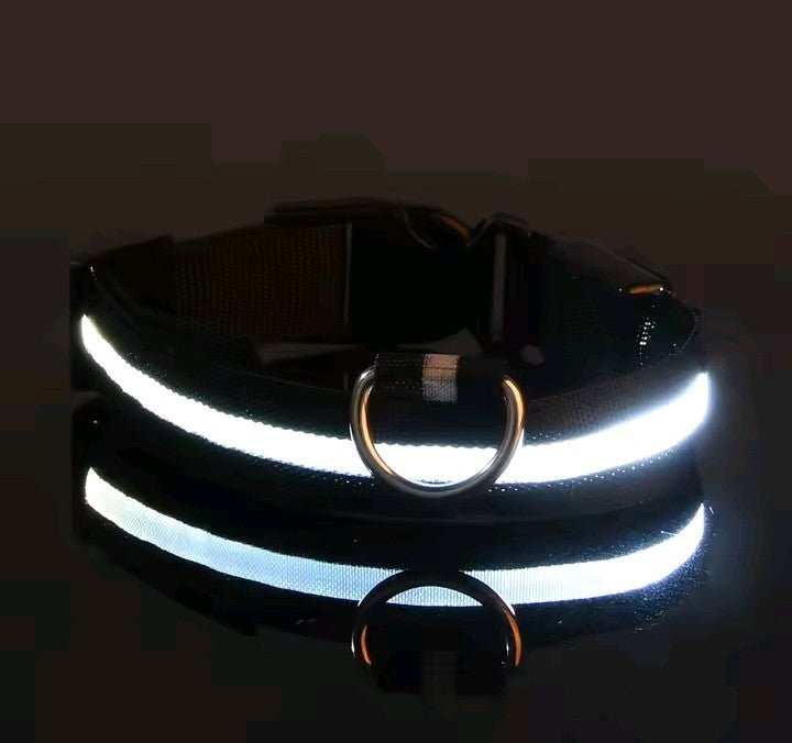 FurFreeHouse™ Glow LED Safety Collar